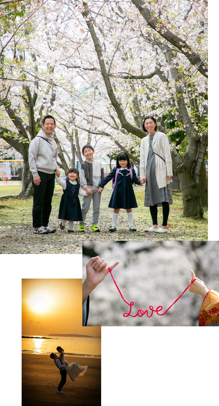 選ばれる理由