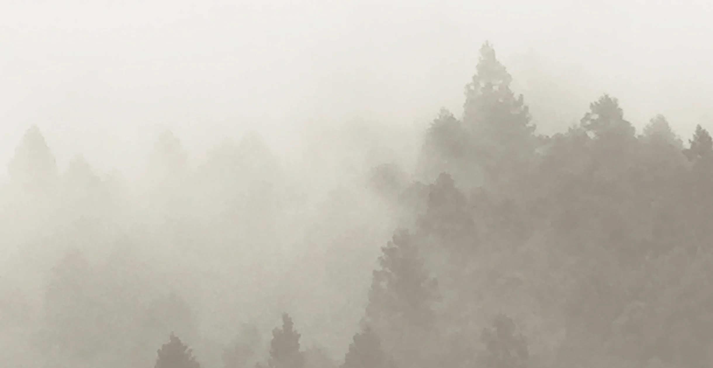 背景